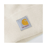 Carhartt Beanie Logo